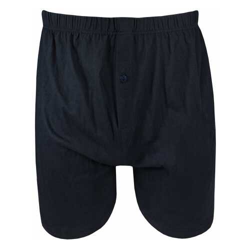 Боксеры мужские LUI 208 Boxer uomo синие 2XL в Тезенис